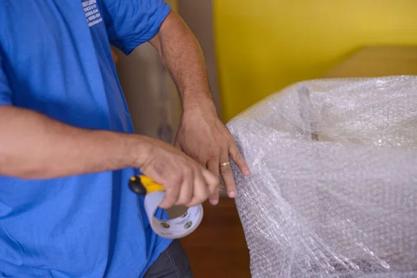 Embalagem Para Mudanças