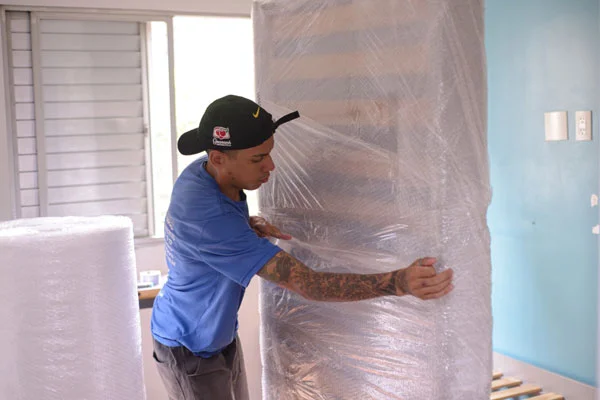 Embalagem Para Mudanças