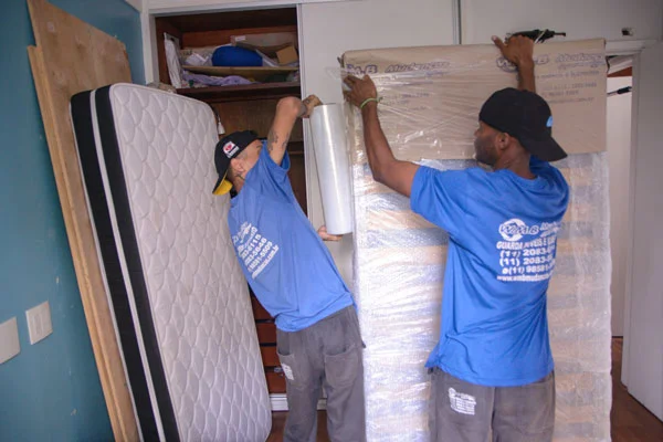 Embalagem Para Mudanças